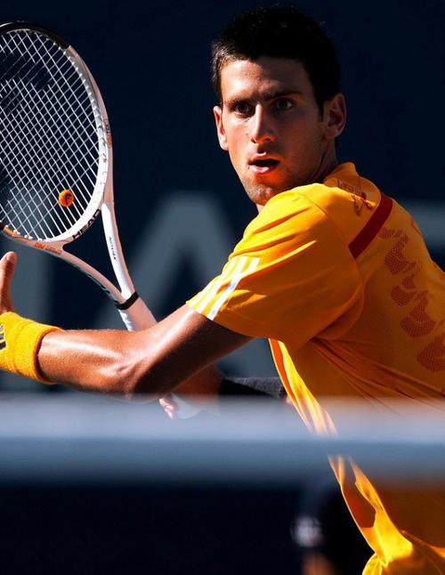 的室内硬地 的室内硬地